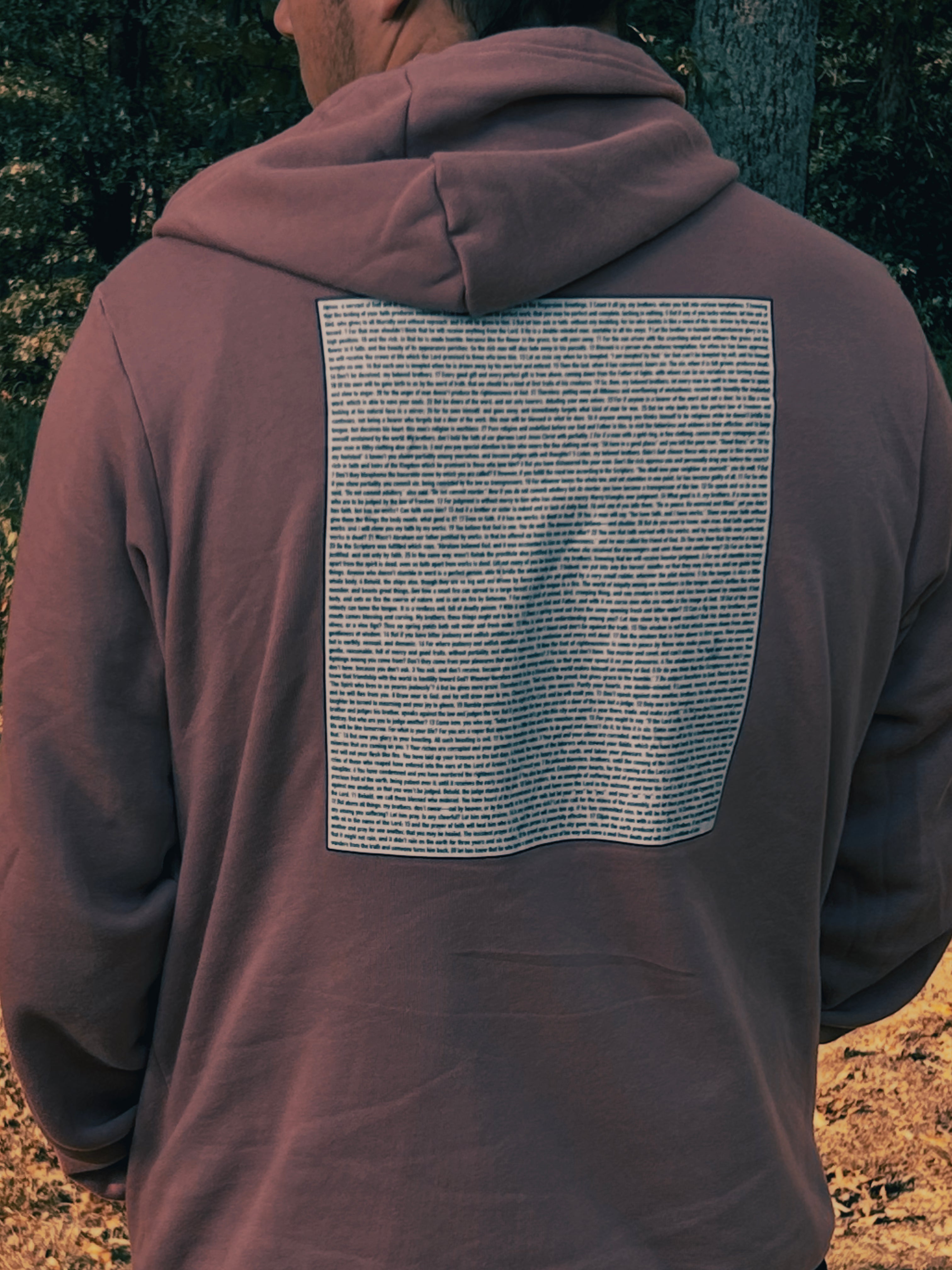 The Book of James Hoodie